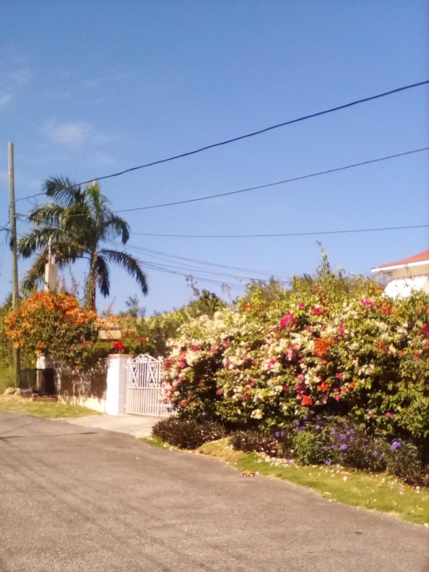 Castle Vue B&B Montego Bay Exterior foto